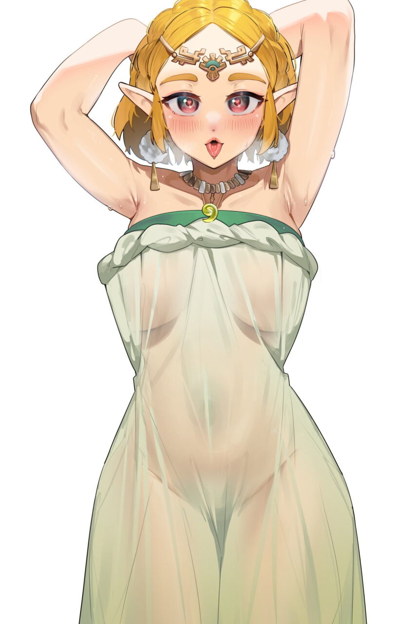 ゼルダの伝説のエロ画像集めてみた