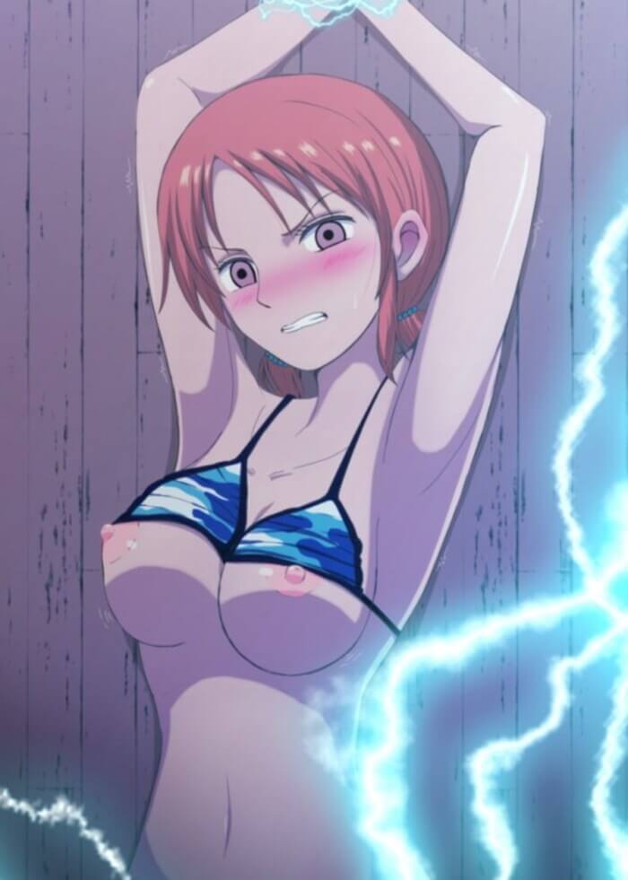 ワンピースの二次元エロ画像。