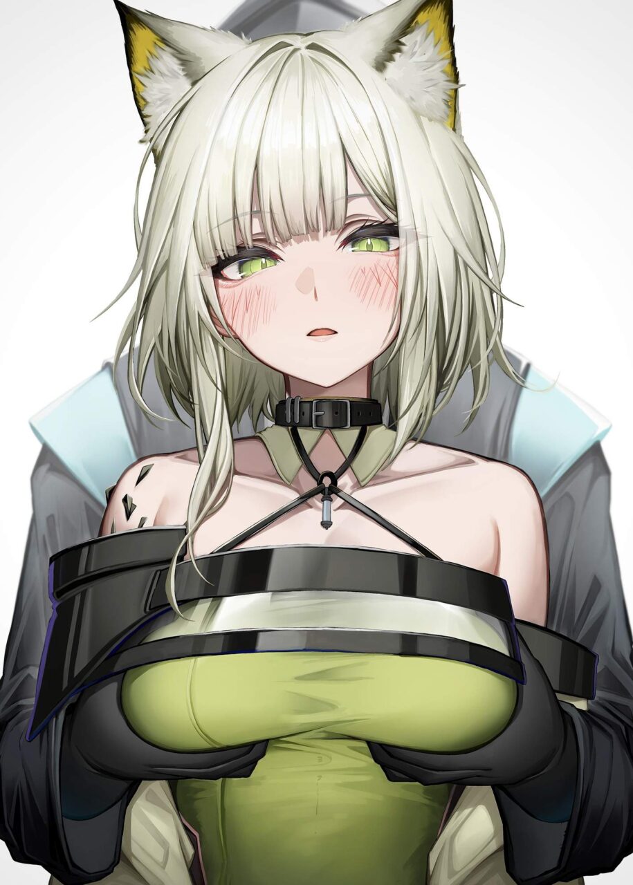 おっぱいの二次元エロ画像。
