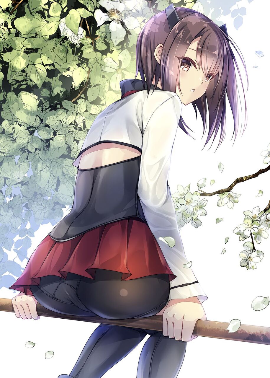 お尻のエロ画像を復習していく