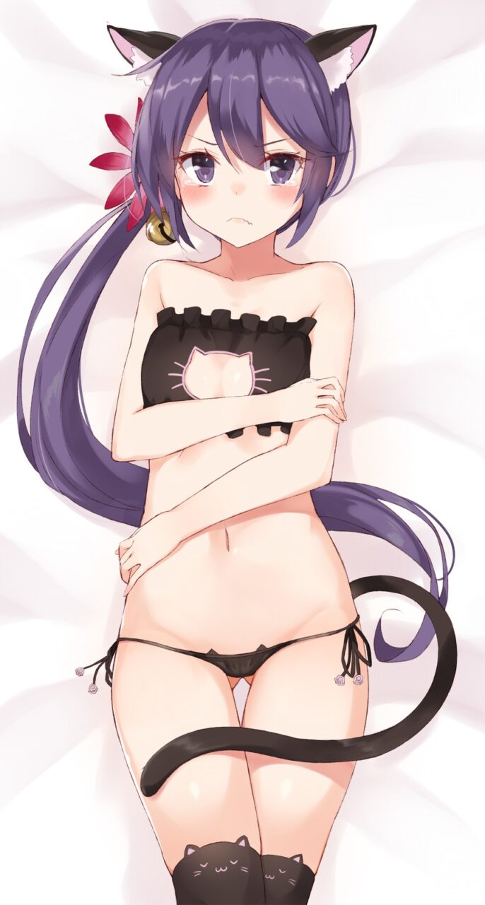 ねこランジェリーエロ画像総合スレ