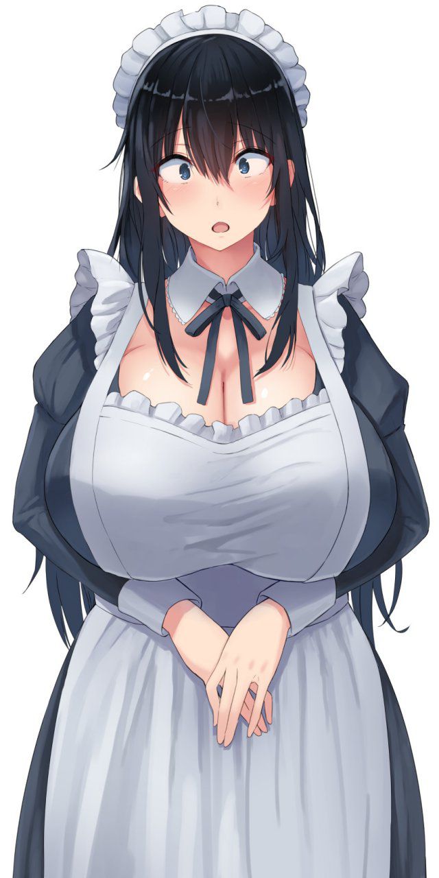 メイドのエッチな画像見たいよね？