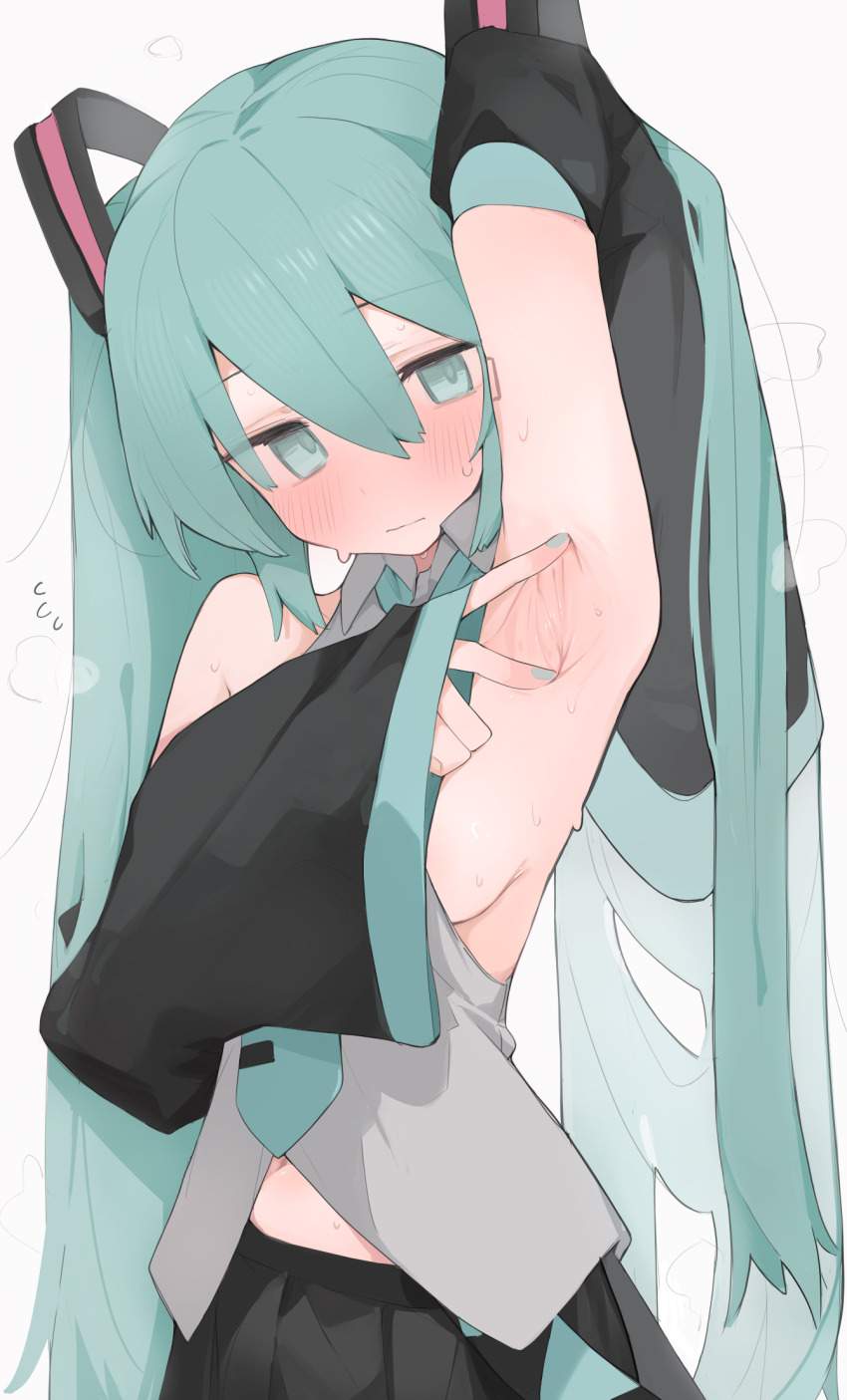 わきフェチのドエロい画像