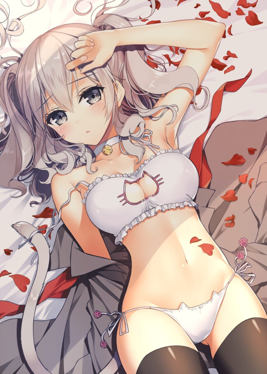 ねこランジェリーエロ画像総合スレ