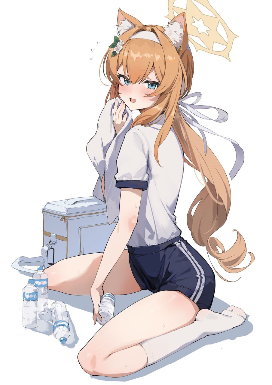 体操服・ブルマの可愛い二次元画像。