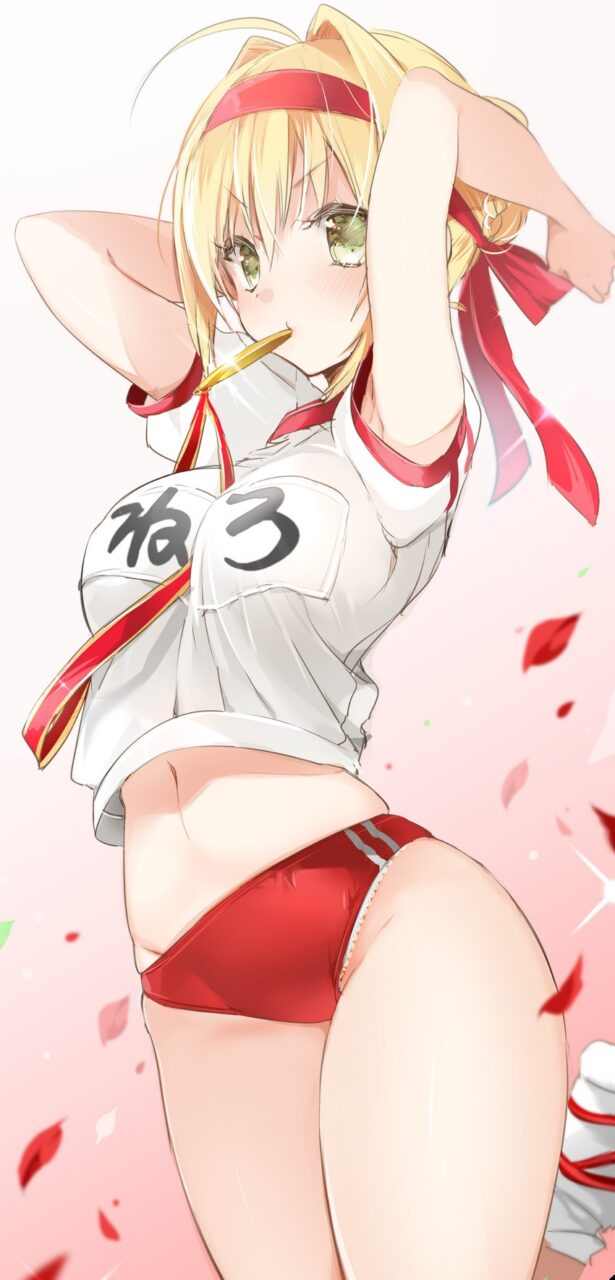 体操服・ブルマの可愛い二次元画像。