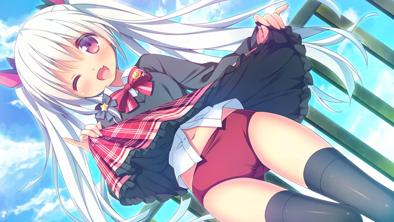 体操服・ブルマの可愛い二次元画像。