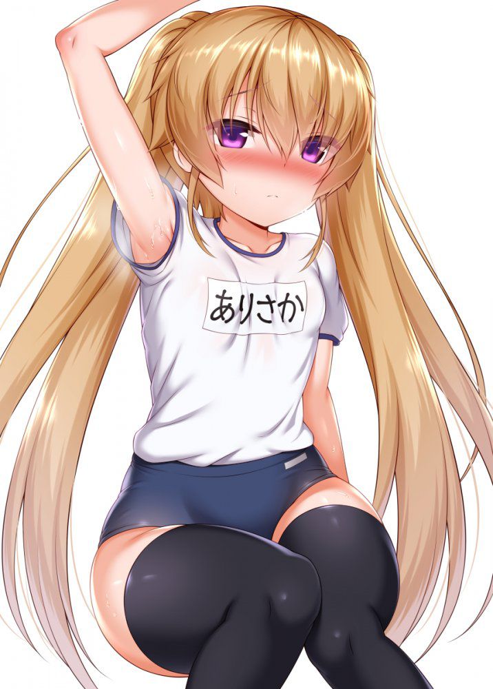 体操服・ブルマのドエロい画像