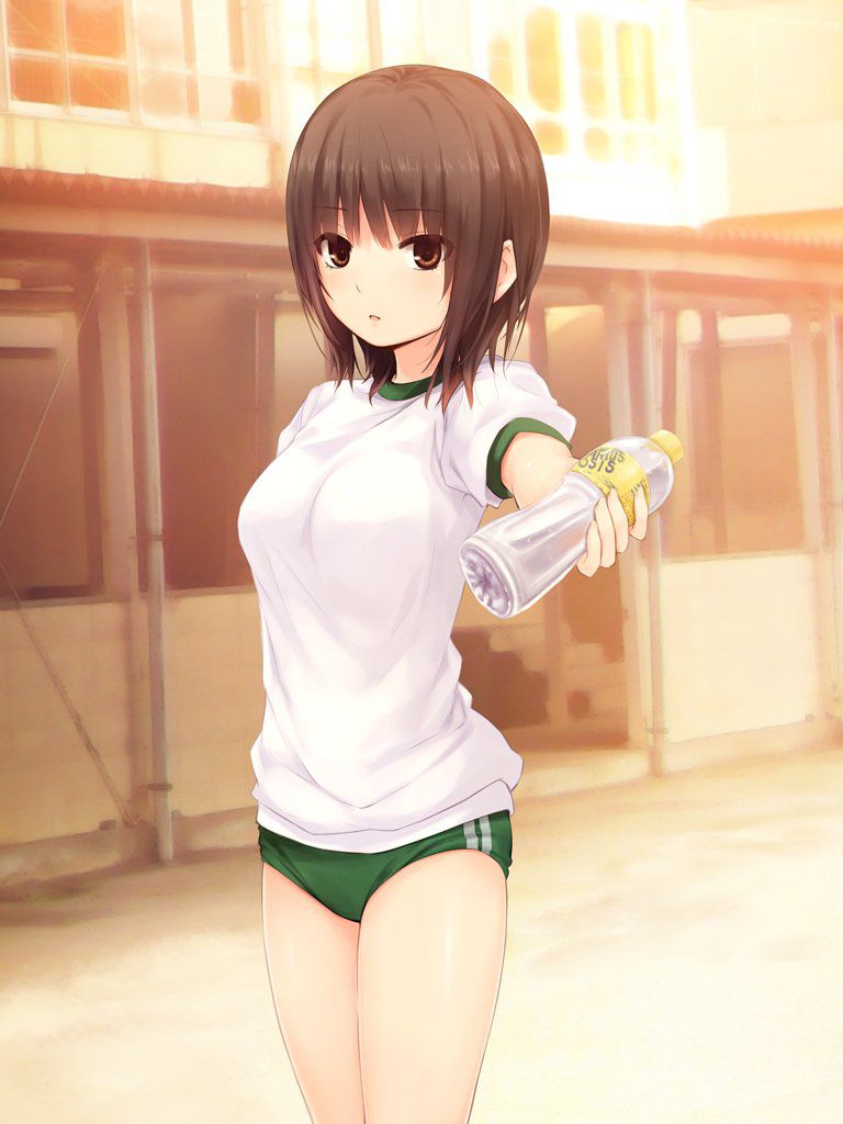 体操服・ブルマの二次元エロ画像。
