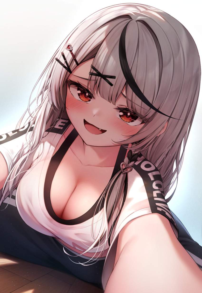 胸チラの二次エロ画像を愛でる。