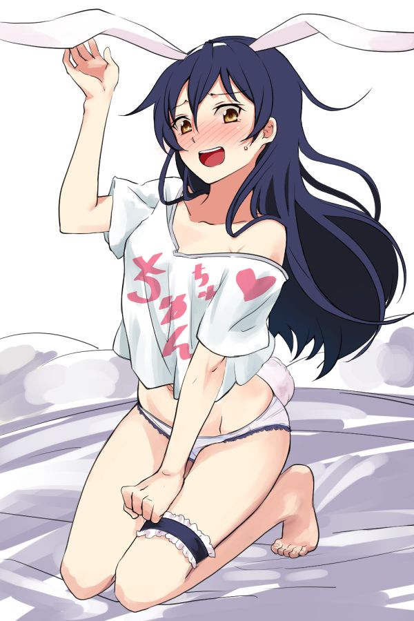 ラッキースケベの二次エロ画像くだしあ。
