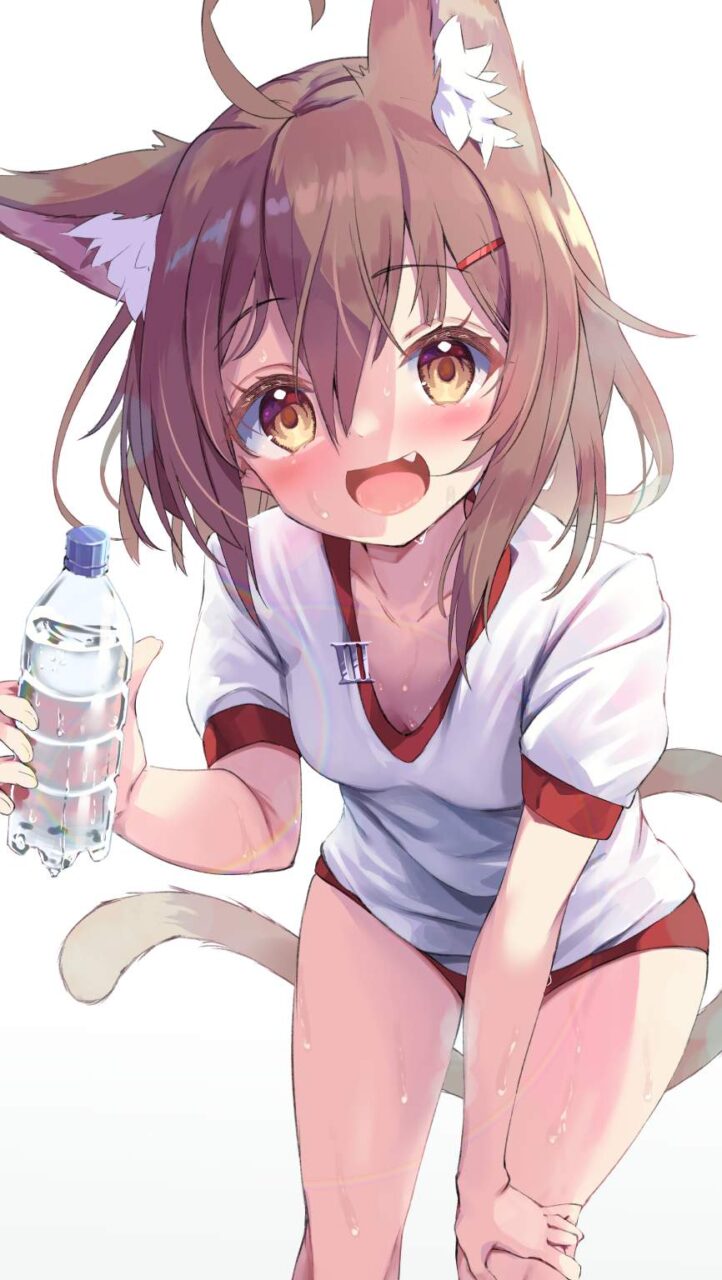 胸チラの二次エロ画像を愛でる。