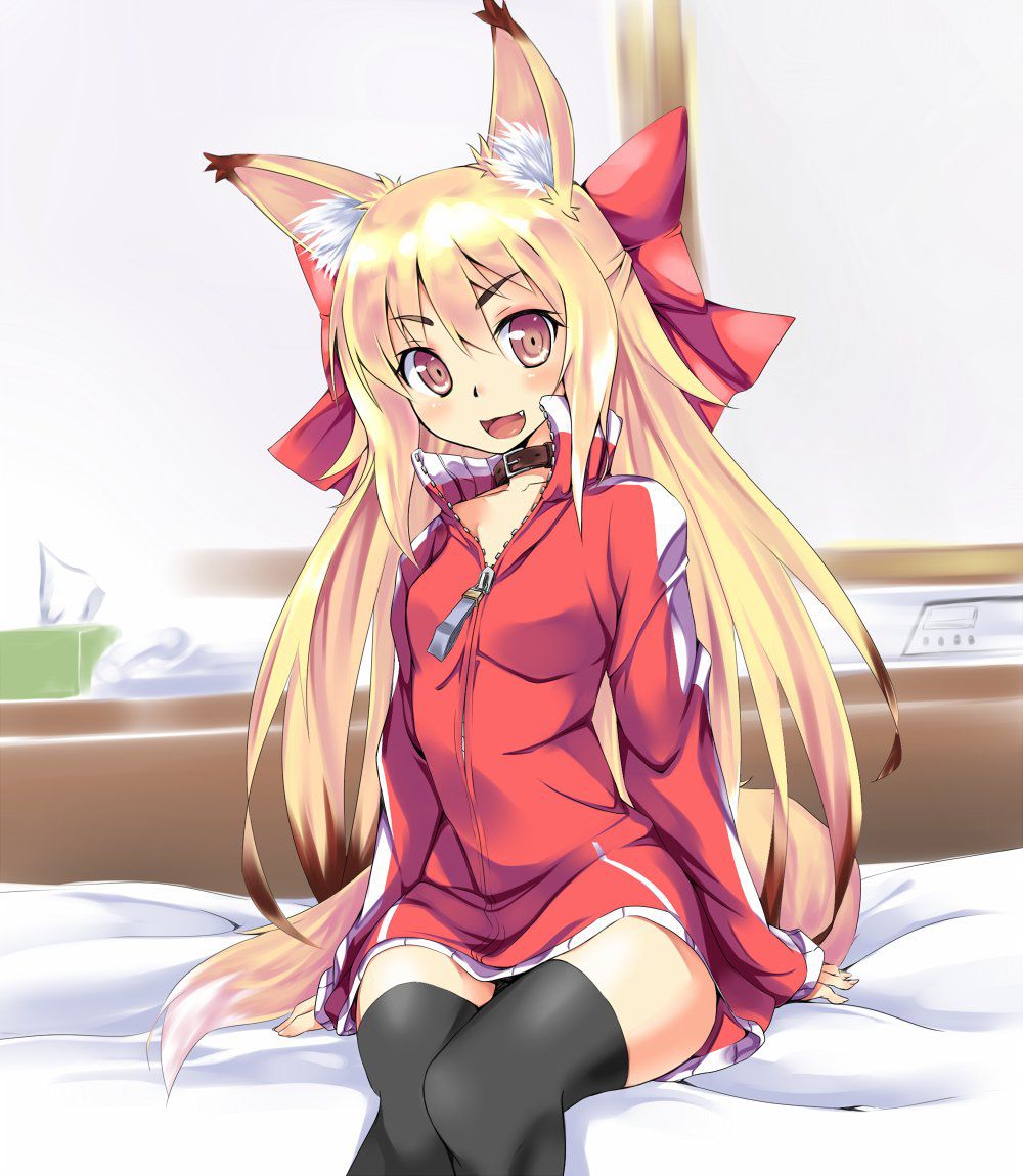 ケモ耳のエッチな画像見たいよね？