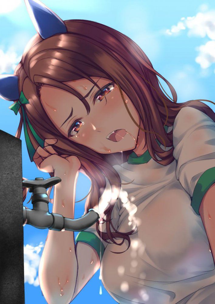 巨乳の選り抜き画像♪