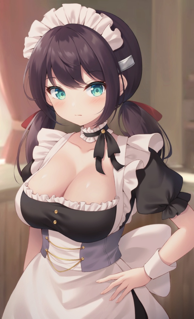 メイドのドエロい画像