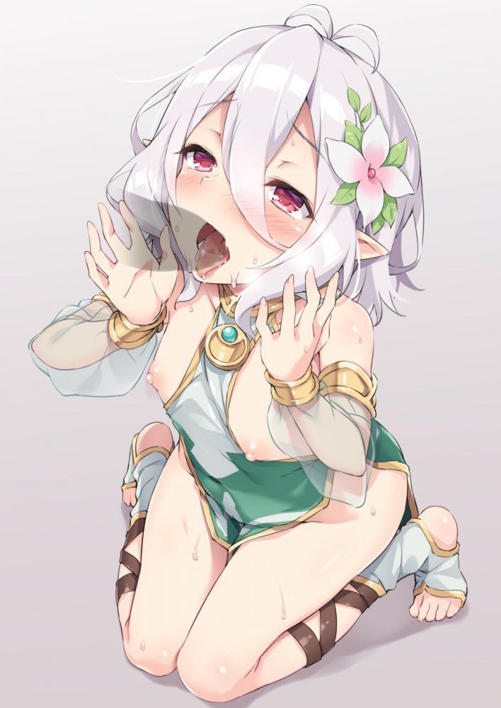 俺のとっておきの貧乳の画像フォルダを見せる