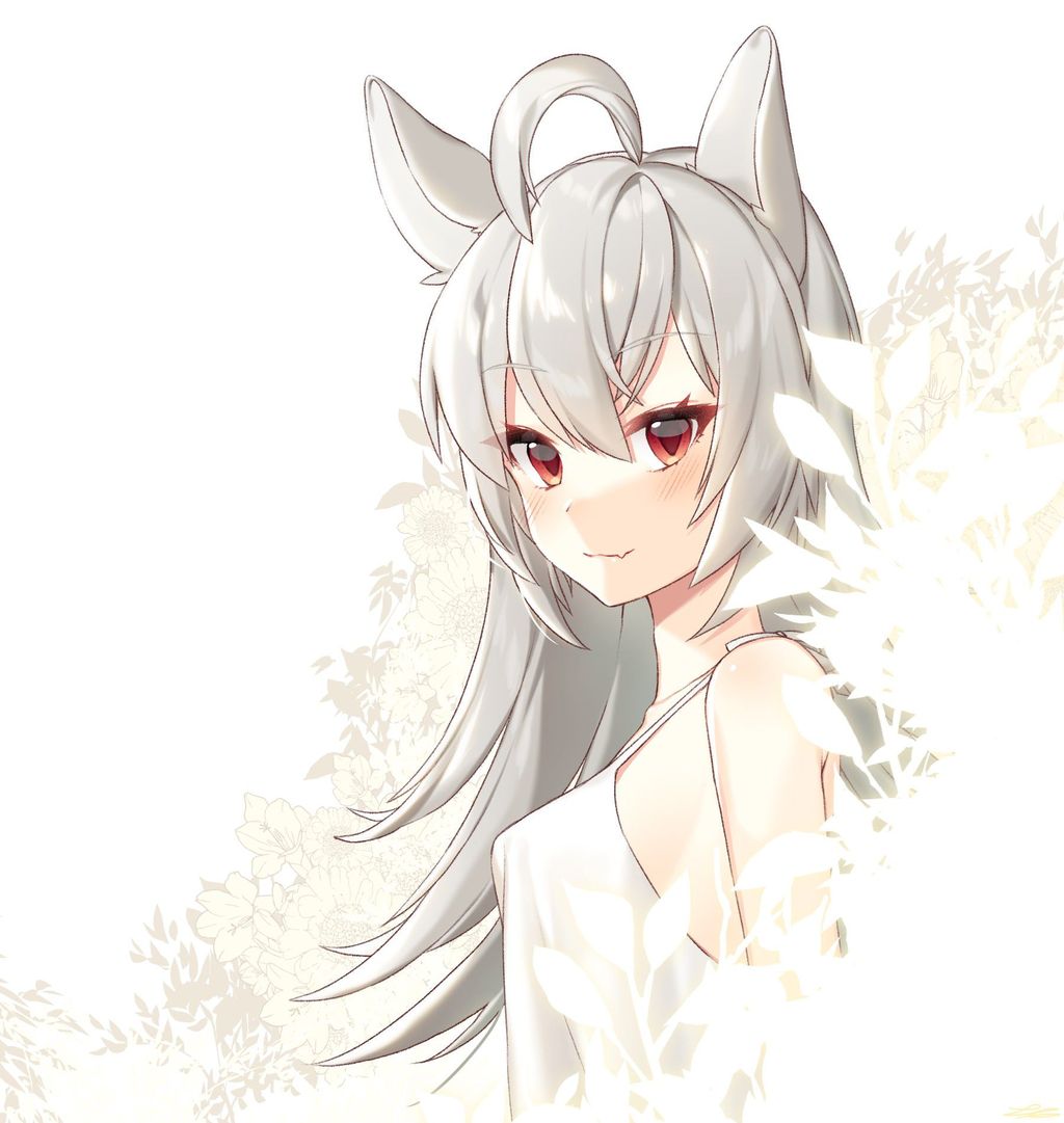 俺のとっておきの貧乳の画像フォルダを見せる