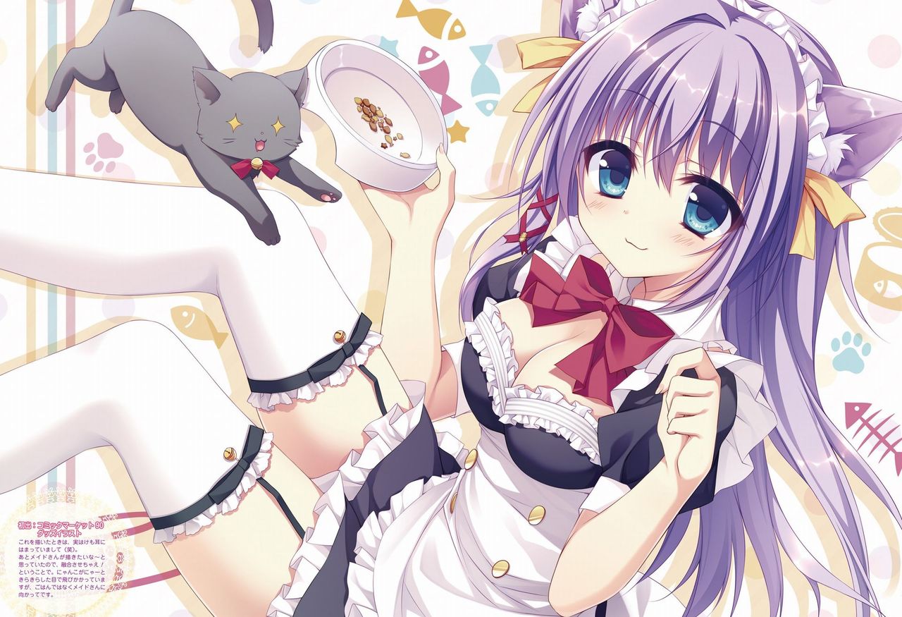 メイドのエロ画像をランダムに貼っていくスレ