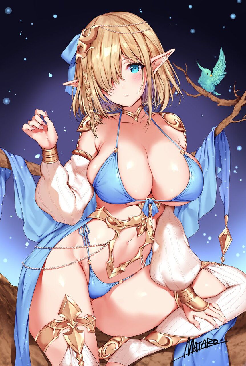 エルフのエロすぎる画像