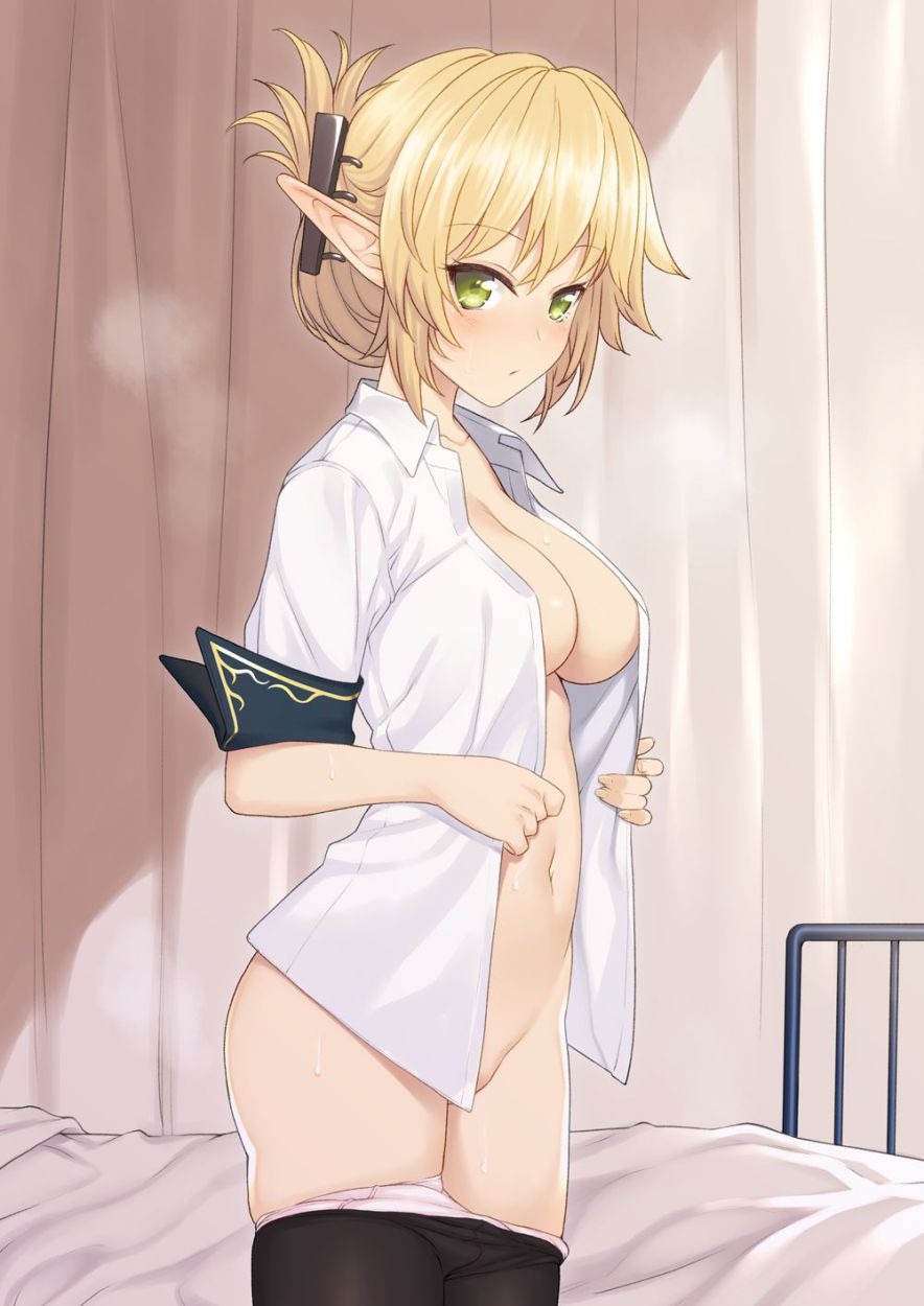 エルフのオナネタ画像を集めたよー！！