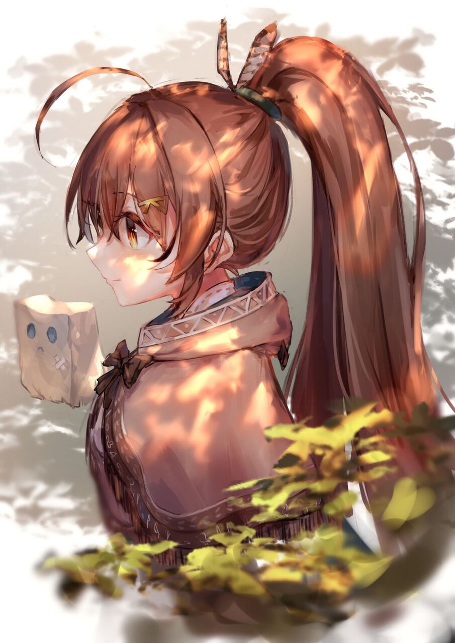 ポニーテールの二次元エロ画像。