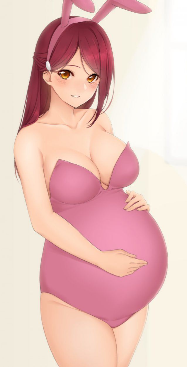 妊娠の二次エロ画像を愛でる。