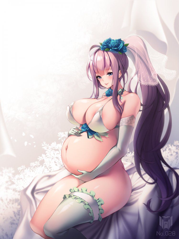 妊娠の二次エロ画像を愛でる。