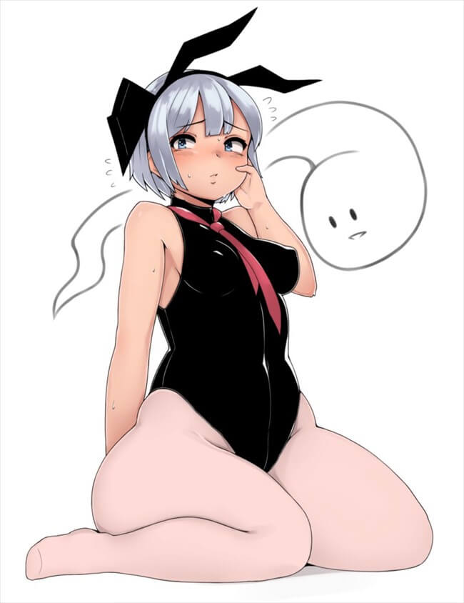 むちむちの二次エロ画像まとめ