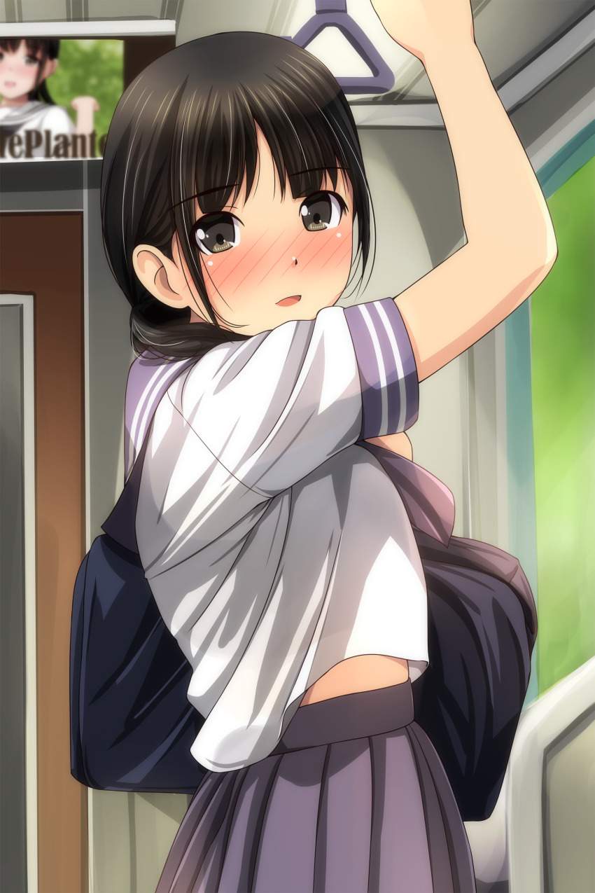 電車のエロ画像でヌきたい奴らは集まれ！