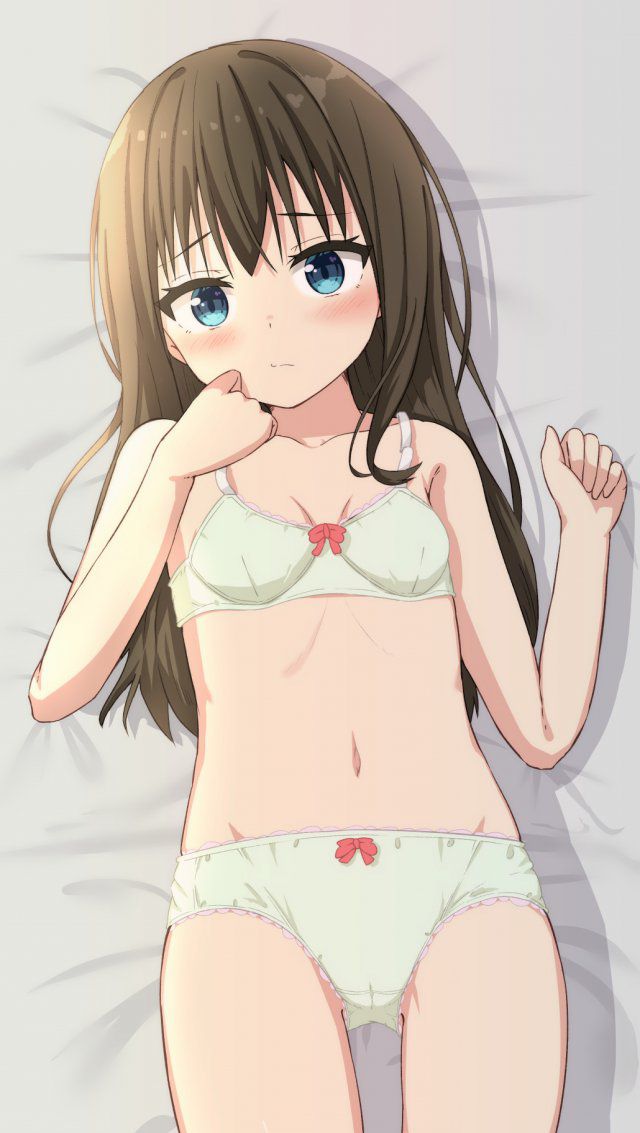 貧乳の二次画像がヌけすぎてこまる件について