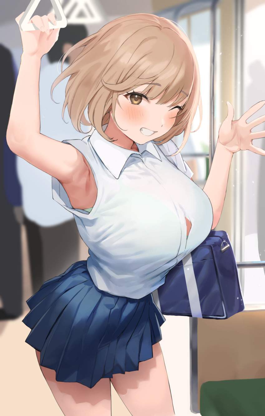 電車のエロ画像でヌきたい奴らは集まれ！