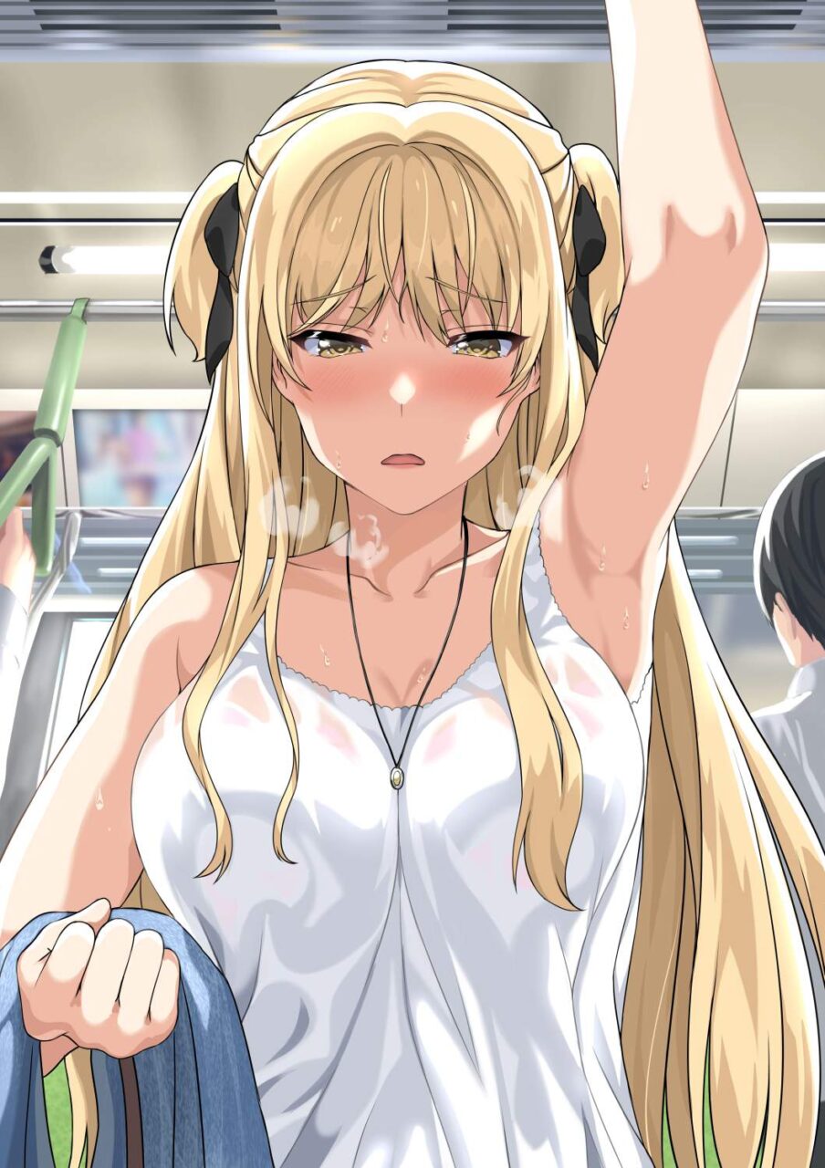 電車のエロ画像でヌきたい奴らは集まれ！