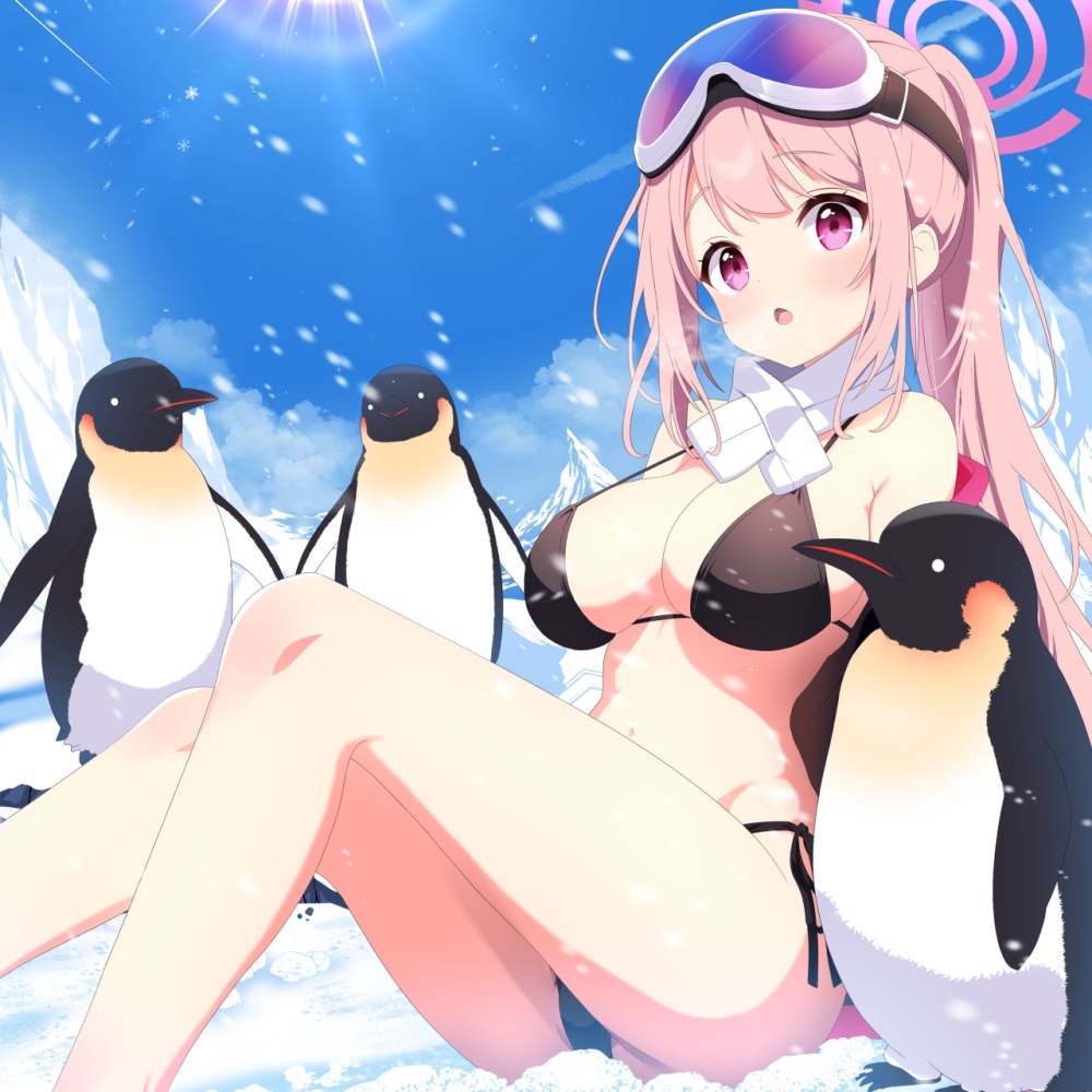 ビキニのエッチな画像見たいよね？