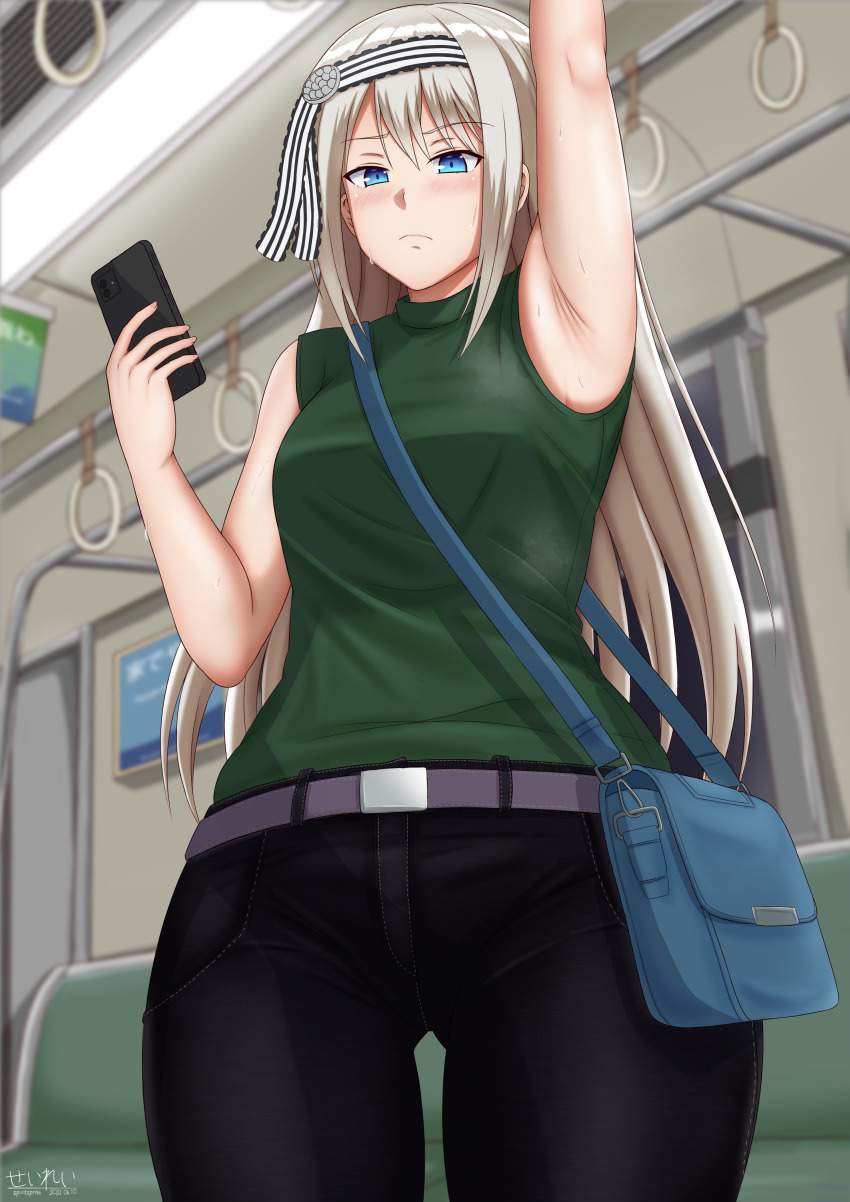 電車のエロ画像でヌきたい奴らは集まれ！