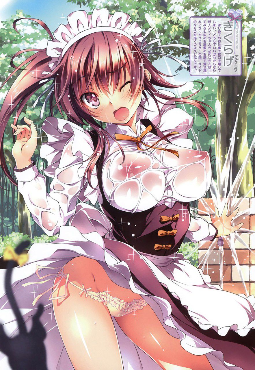 メイドの二次エロ画像を愛でる。