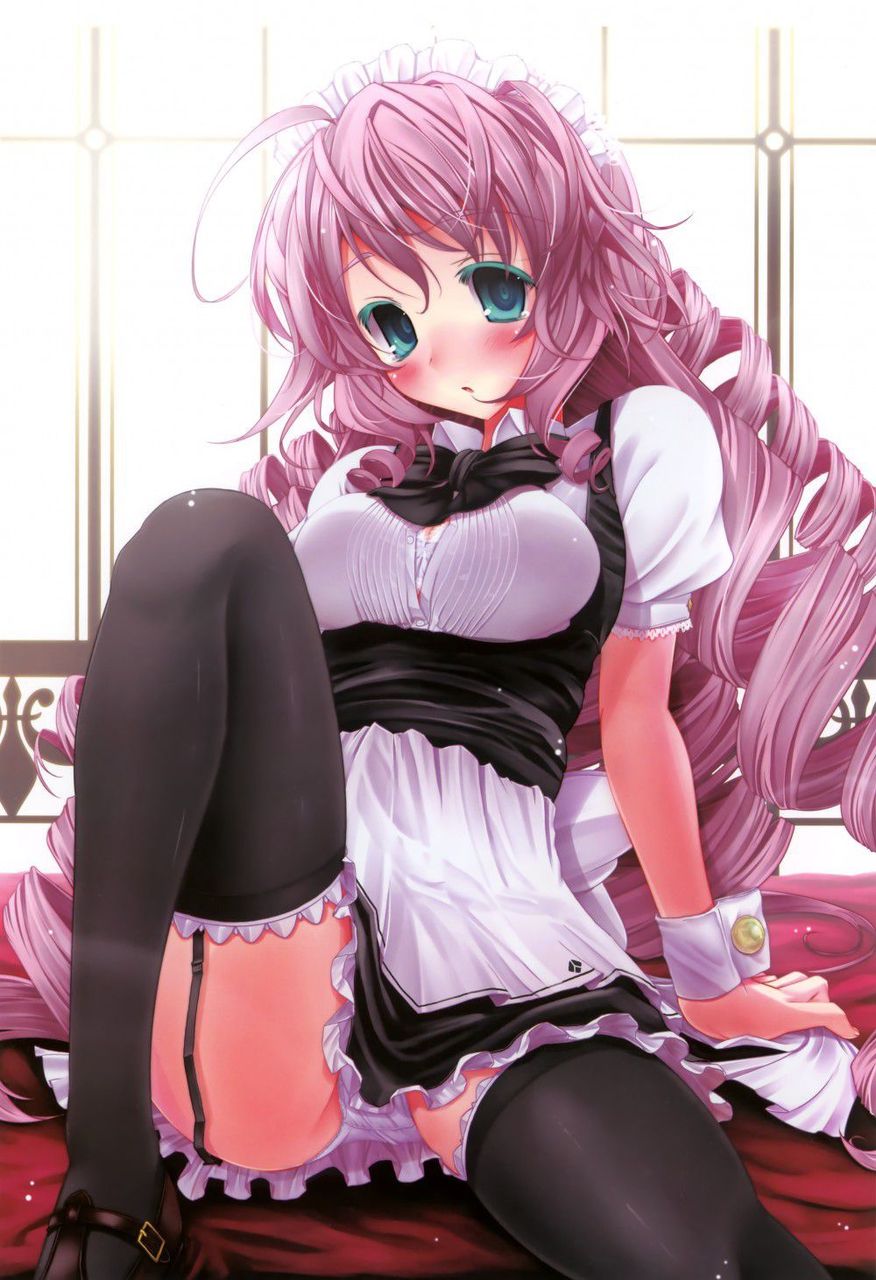 メイドの二次エロ画像を愛でる。