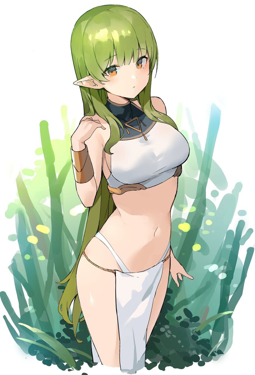 エルフのオナネタ画像を集めたよー！！