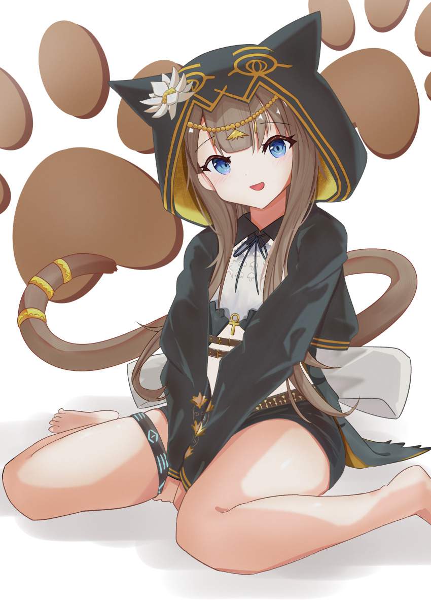 アークナイツのエロ画像でシコりたい奴集まれ！