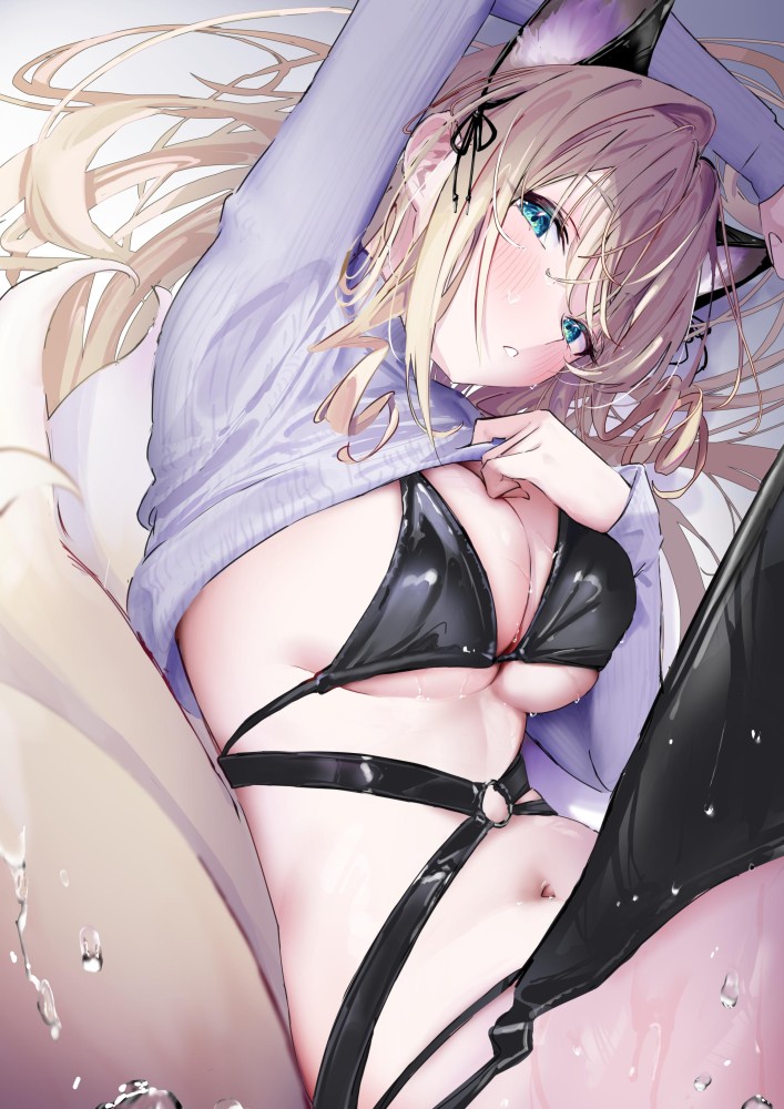 ビキニの二次エロ画像で！
