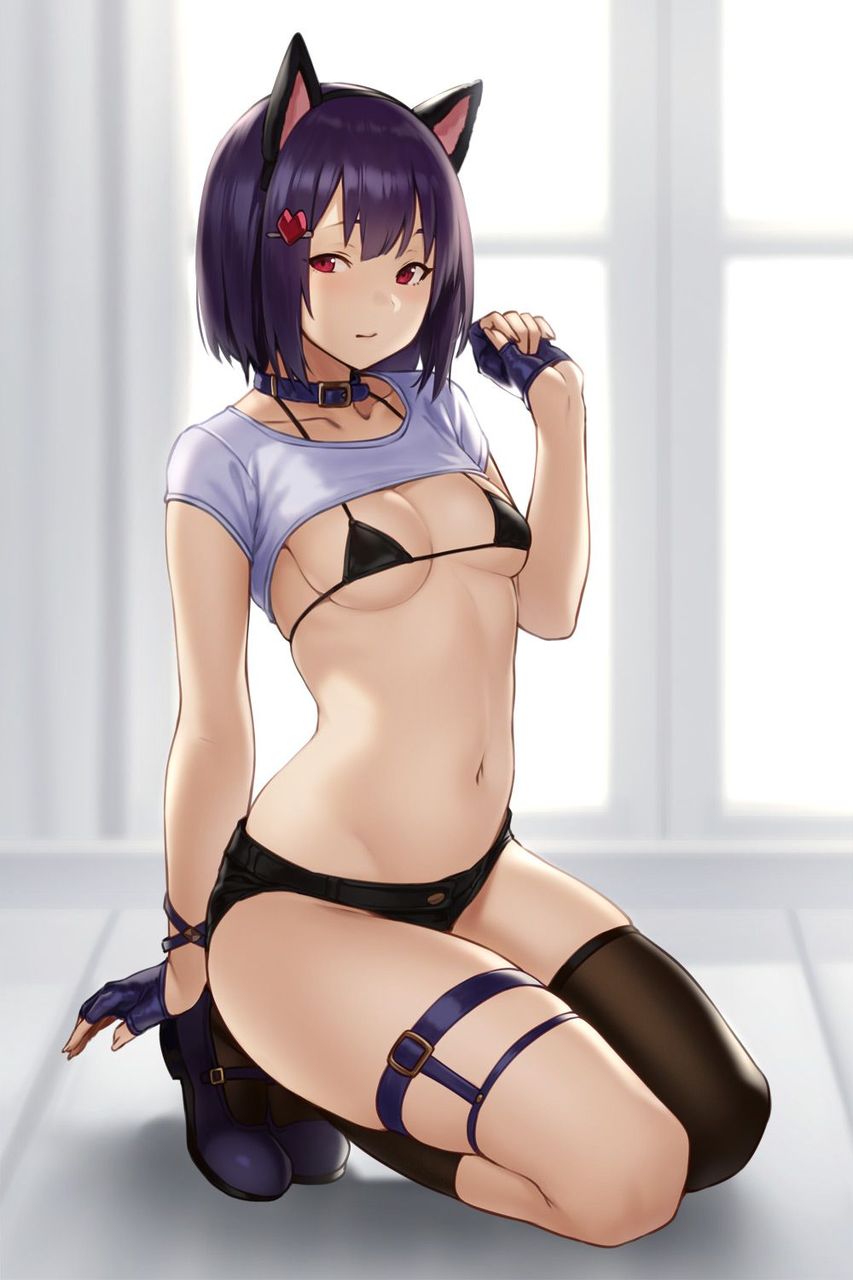 ビキニの二次エロ画像で！