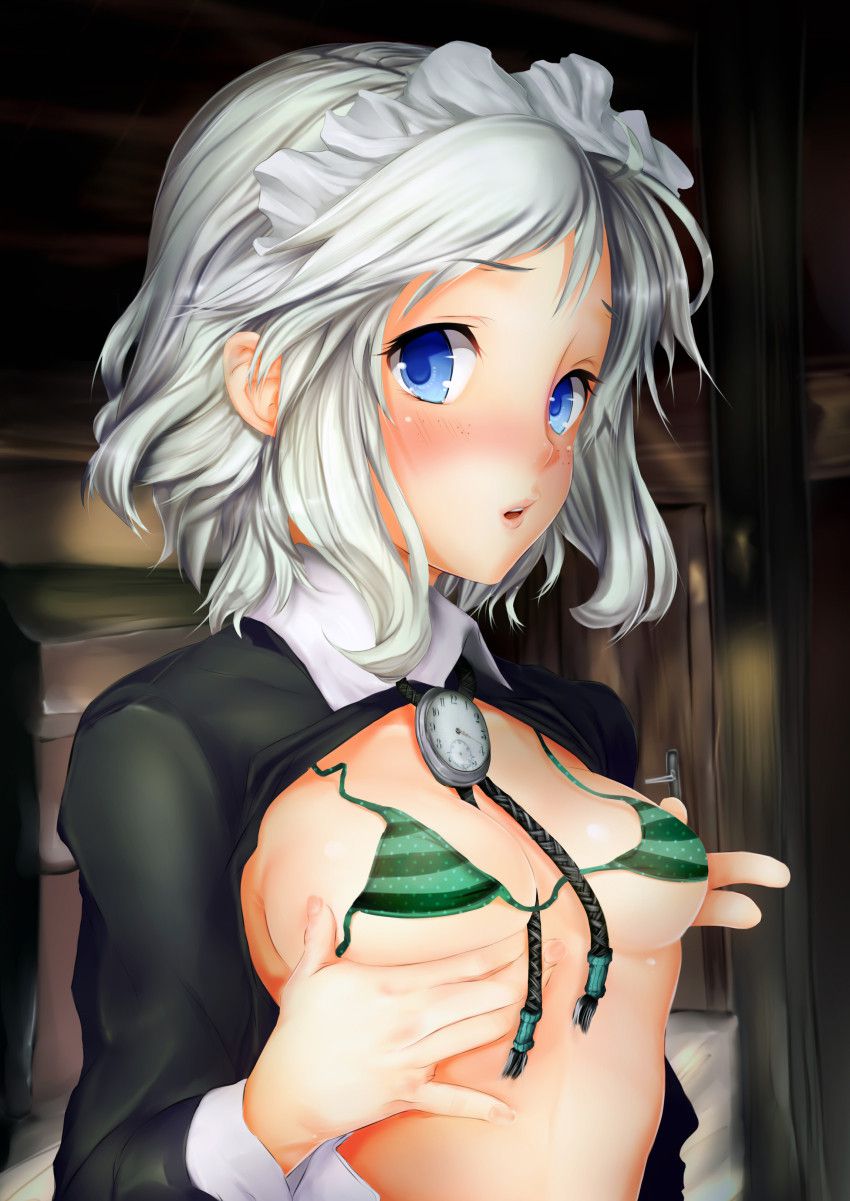 ビキニの二次エロ画像で！