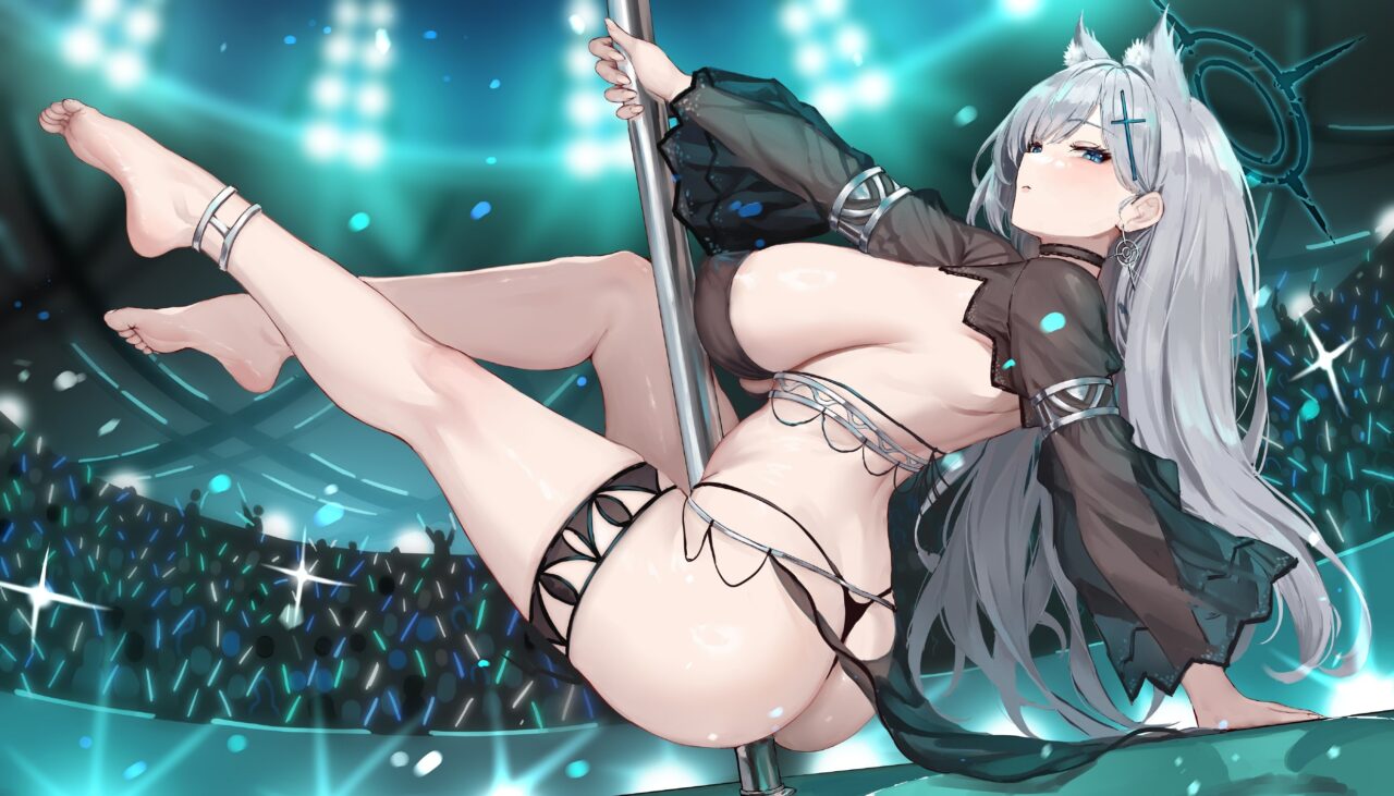 銀髪のエロ画像フォルダを解放していく