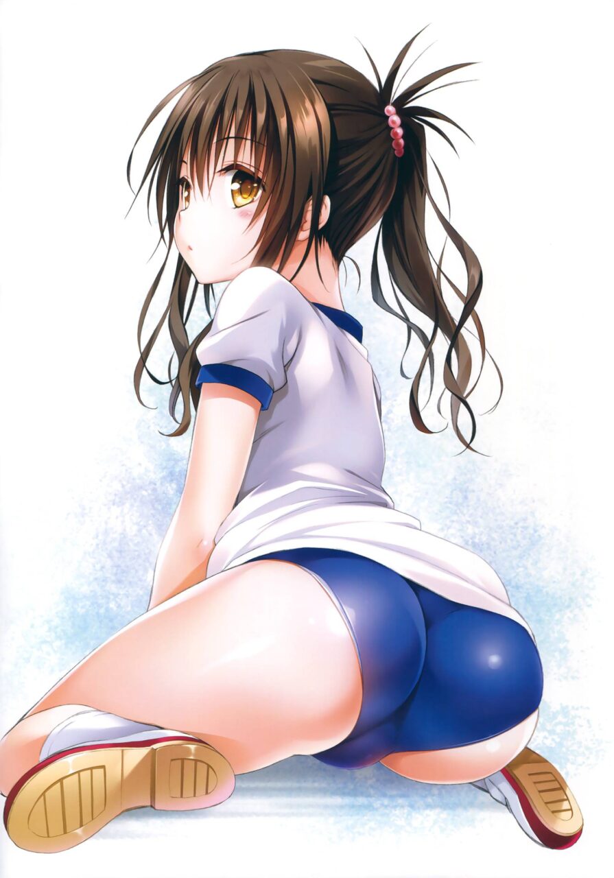 体操服・ブルマの二次画像がヌけすぎてこまる件について
