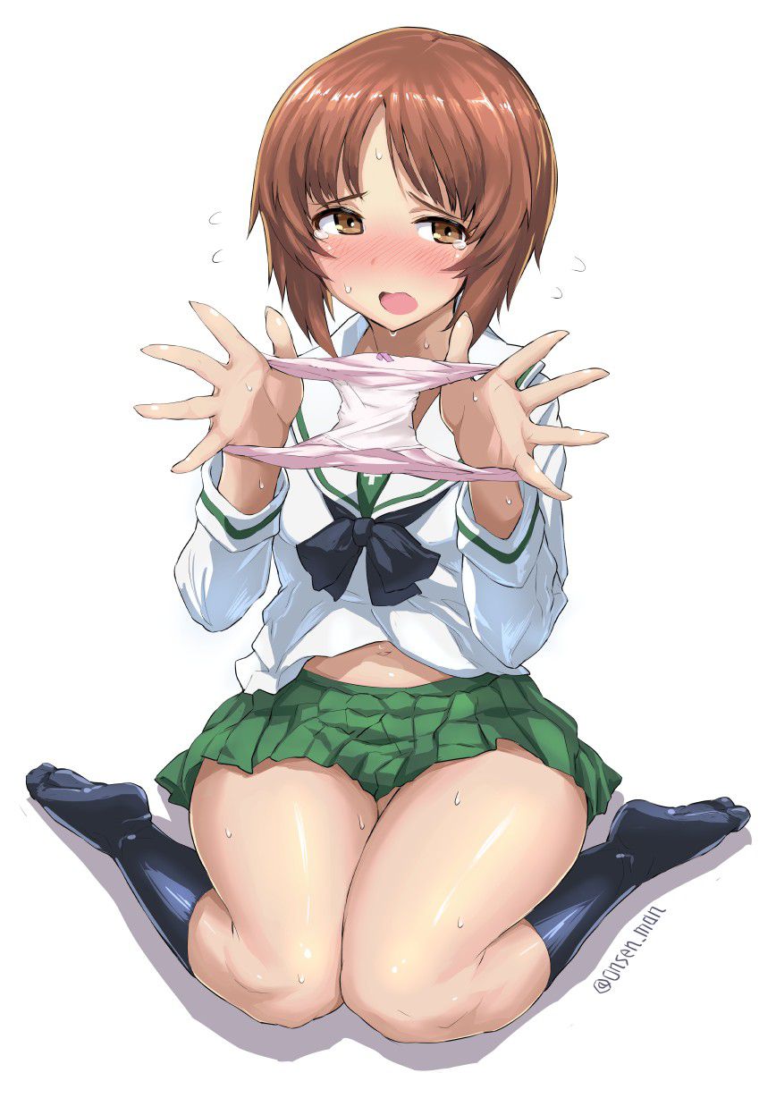 パンツ・下着のエロ画像を復習していく