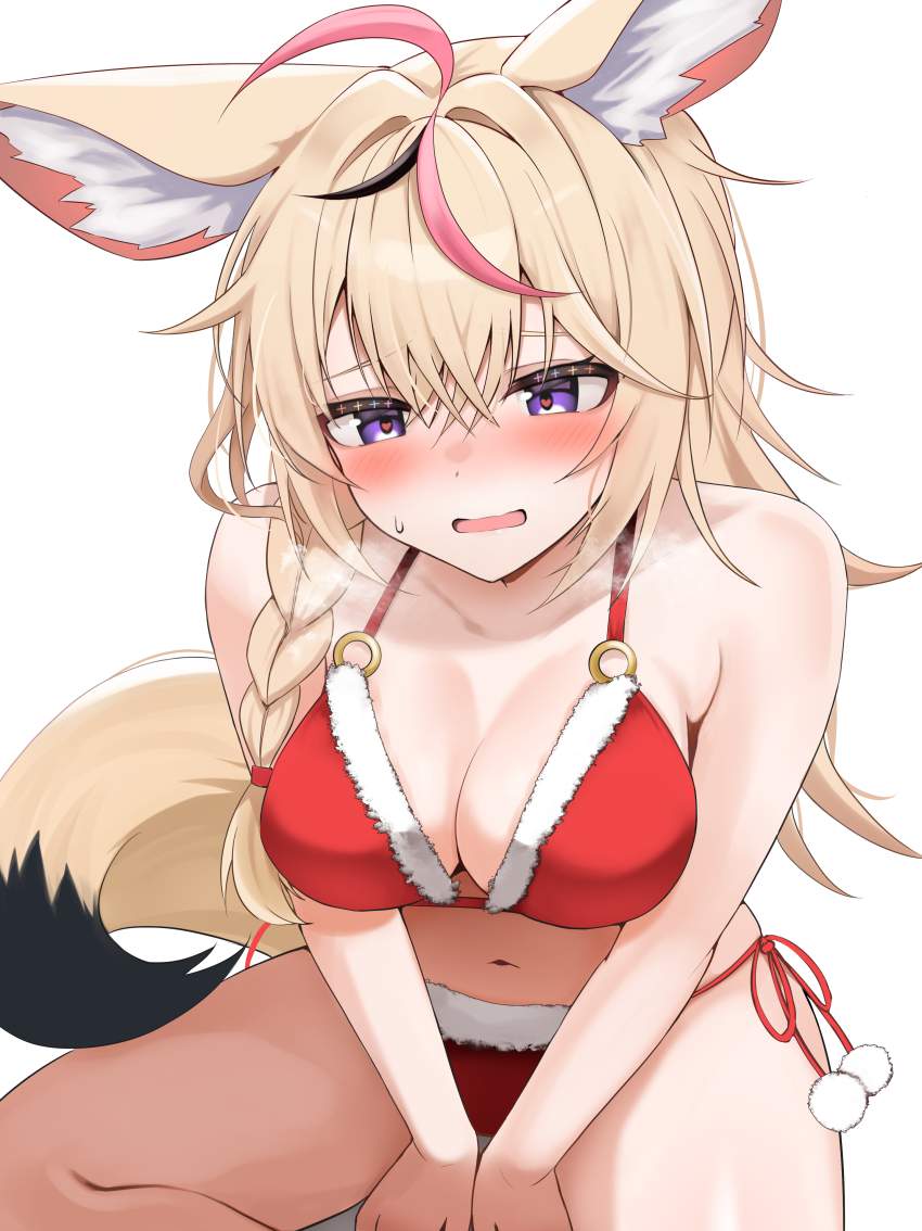 サンタのエロ画像で抜きたくなったから貼ってくよ