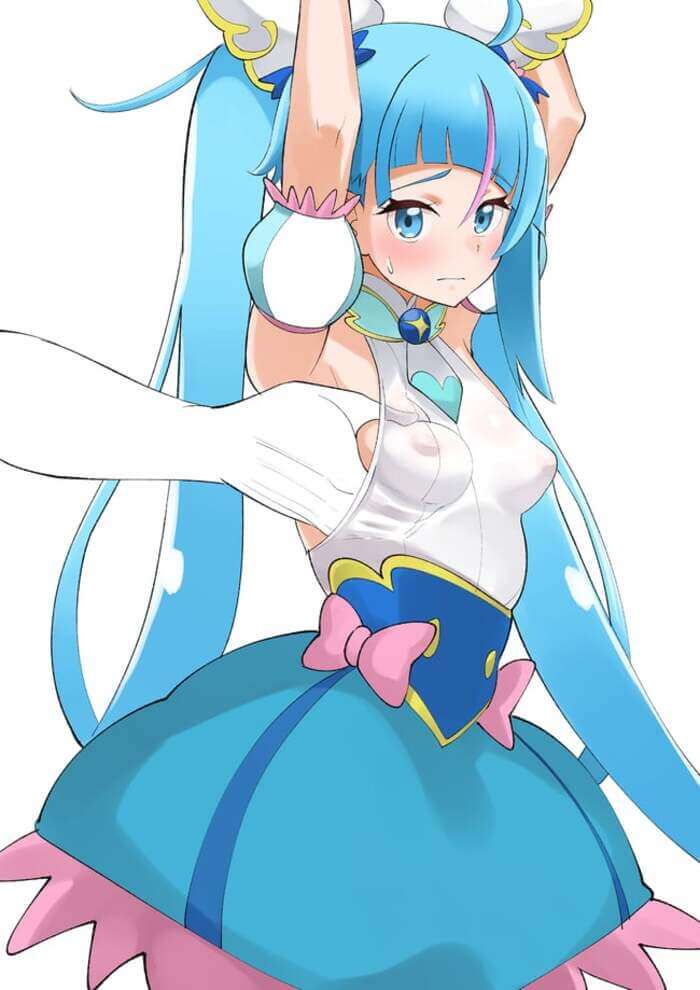 プリキュアのドエロい画像