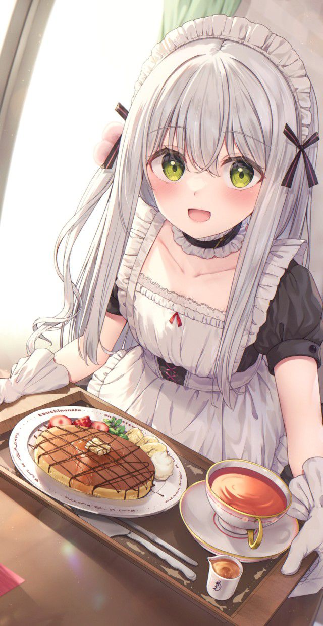 メイドの選り抜き画像♪