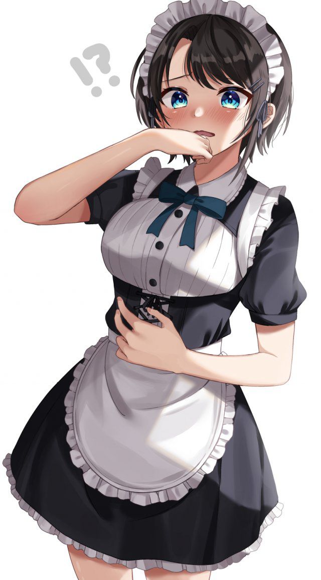 メイドのエロ画像みて幸せになろう！