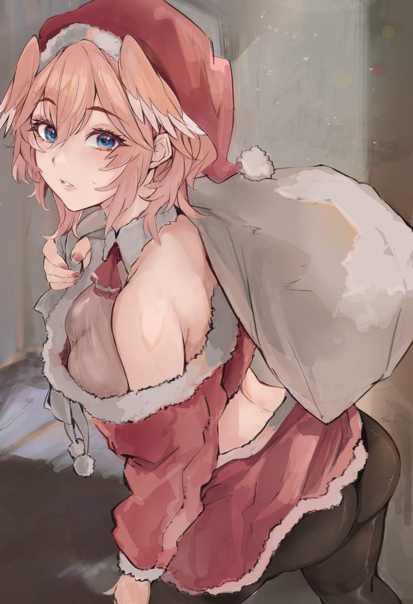 サンタのエロ画像待った無し！