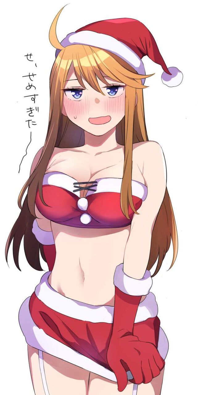 サンタのエロ画像待った無し！